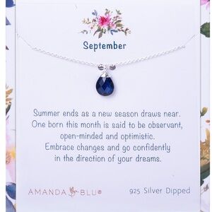 Sapphire September Birthstone Tiny Charm Pendant Necklace